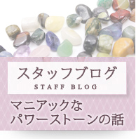 スタッフブログ