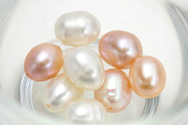 淡水パール